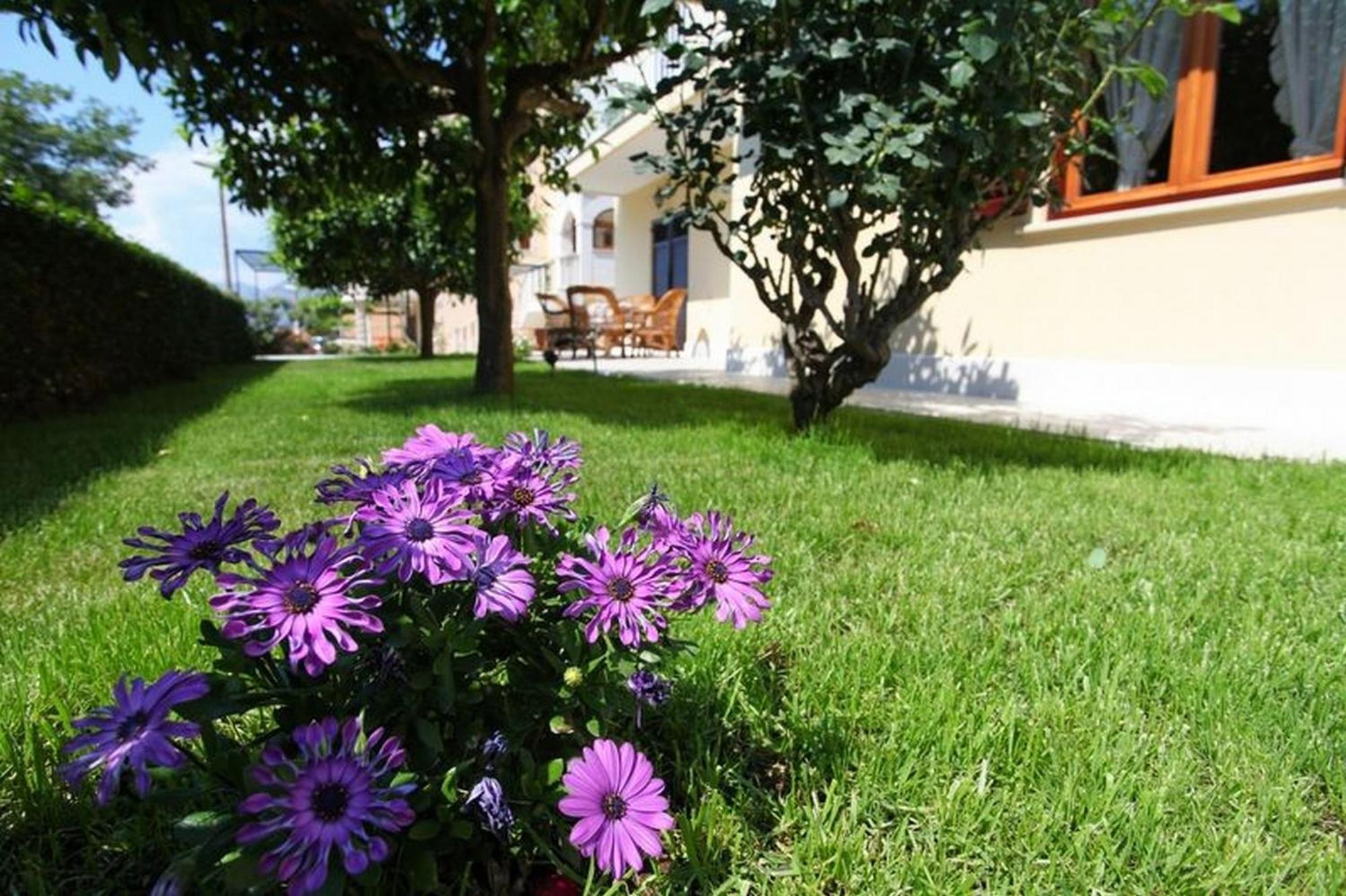 Antares Apartments Цавтат Экстерьер фото